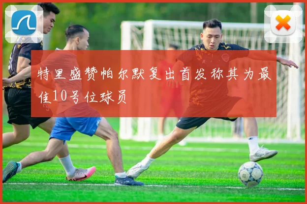 特里盛赞帕尔默复出首发称其为最佳10号位球员