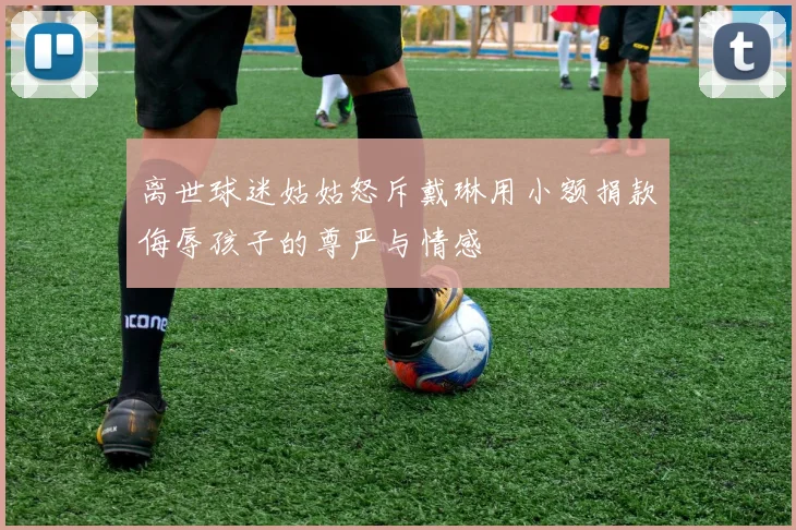 离世球迷姑姑怒斥戴琳用小额捐款侮辱孩子的尊严与情感