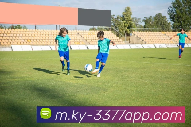 3377体育平台生态图